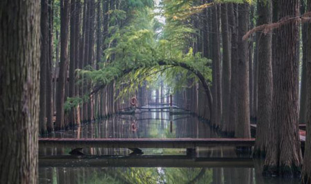 泰州十大最好玩的地方，泰州旅游景點(diǎn)攻略